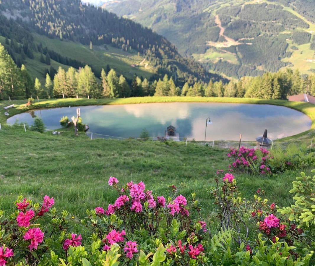 Hotel Alpina Kleinarl Εξωτερικό φωτογραφία
